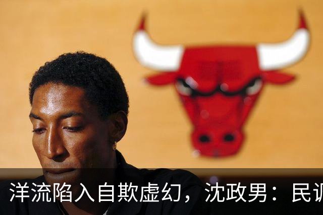 洋流陷入自欺虚幻，沈政男：民调做再离谱也没用