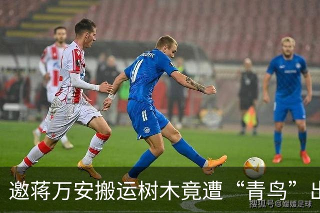 邀蒋万安搬运树木竟遭“青鸟”出征，清洁队长：我好内疚、很难过